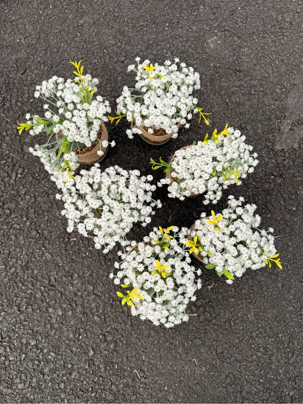 6 Wedding Centerpiece Baby’s Breath Arrangements
